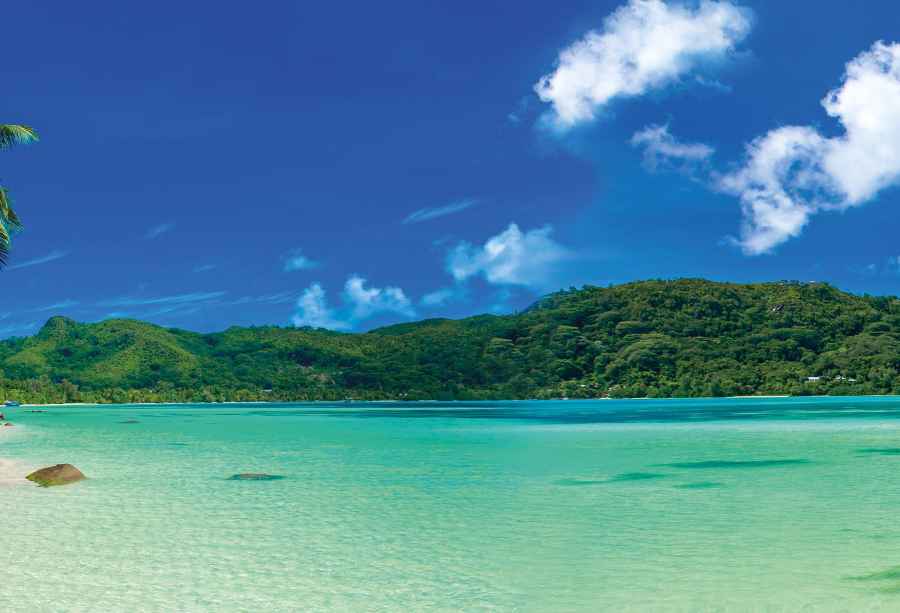 Tropical Beach